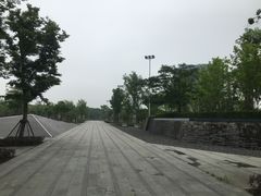 -南翔镇银翔湖公园