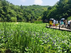 -天目湖山水园