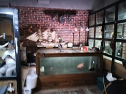 -青木造型HAIR·あおき髪を刈る潮人店