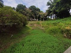 -东莞植物园