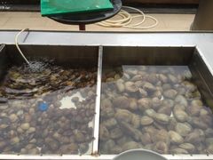 -渔家火锅·海鲜自助餐·演艺(亚龙湾天域酒店)