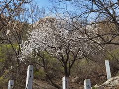 -北京凤凰岭