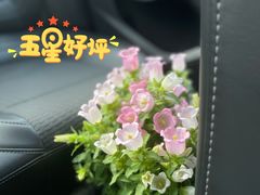 -金陵花卉交易市场