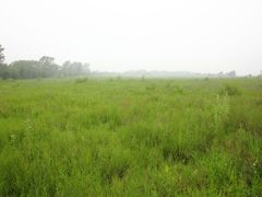 -大青沟风景区