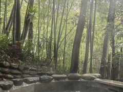 -花水湾第一村温泉大酒店