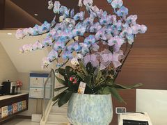 -TSK齿科德申会口腔门诊·联洋诊所
