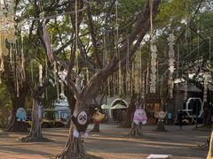 -观澜湖生态运动公社