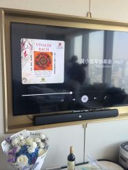 -圣贝拉母婴护理中心(深圳莱佛士店)