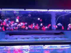 -华声天桥民俗文化园