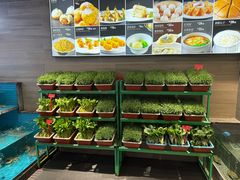 -恒记饭店·海鲜明档(淹城店)