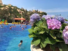 -那琴半岛地质海洋公园