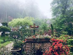 -莫干山风景区