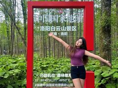 -洛阳白云山景区