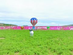 -大连铭湖国际观光牧场