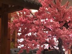 -大江户·温泉洗浴(浑南店)