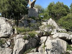 -原山国家森林公园