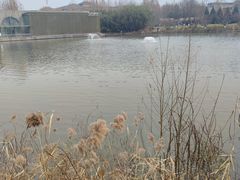 -春晖园度假酒店温泉