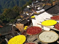 -婺源风景区