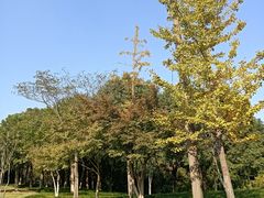 -杭州城北体育公园
