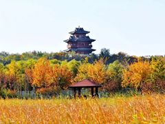 -永定河休闲森林公园