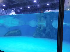 -上海海昌海洋公园-冰山北极馆