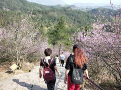 -天台山赤城山景区