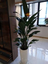 -希思特医疗美容医院