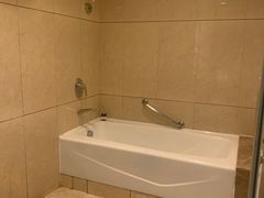 -圣爵菲斯大酒店(长沙世界之窗店)