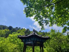 -黄帝陵