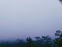 -石老人观光园