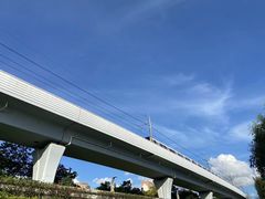 -宝安西湾红树林湿地公园