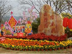 -天适樱花悠乐园