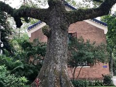 -广州中山纪念堂