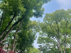 -浙江西子宾馆·瑶园咖啡厅