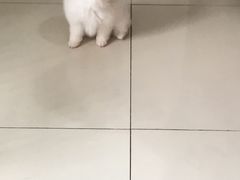 -汪星球宠物生活馆