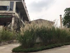 -广州市紫泥堂文化创意园景区