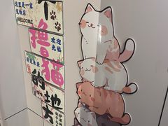 -唐小姐の私宠·宠物洗护美容·撸猫馆·购宠(周浦万达旗舰店)