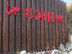 -池杉湖湿地公园