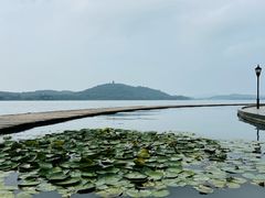 -水上明月·湖景餐厅