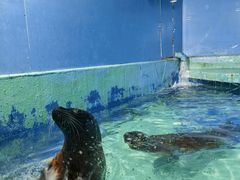 -太平洋海底世界