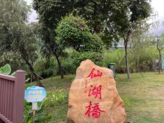 -深圳仙湖植物园
