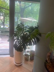 -娇玫荟SPA