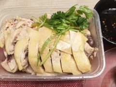 -九斤黄三黄鸡专卖店