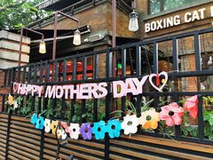 -Boxing Cat Brewery拳击猫精酿啤酒馆(永福店)
