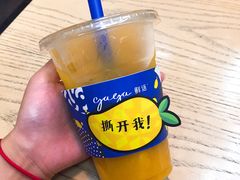 -gaga(深圳福田星河COCO Park店)