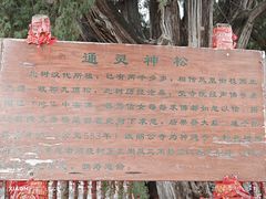 -四门塔风景区