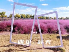 -嘉北郊野公园