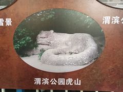 -渭滨公园