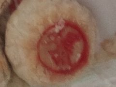 爆浆鲜肉月饼-泸溪河桃酥(江宁太阳城店)