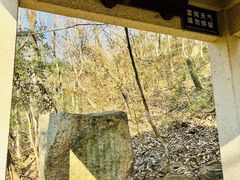 -宝岩生态观光园